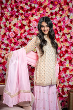 Rose Mist Cutwork Kurta With Shalwar